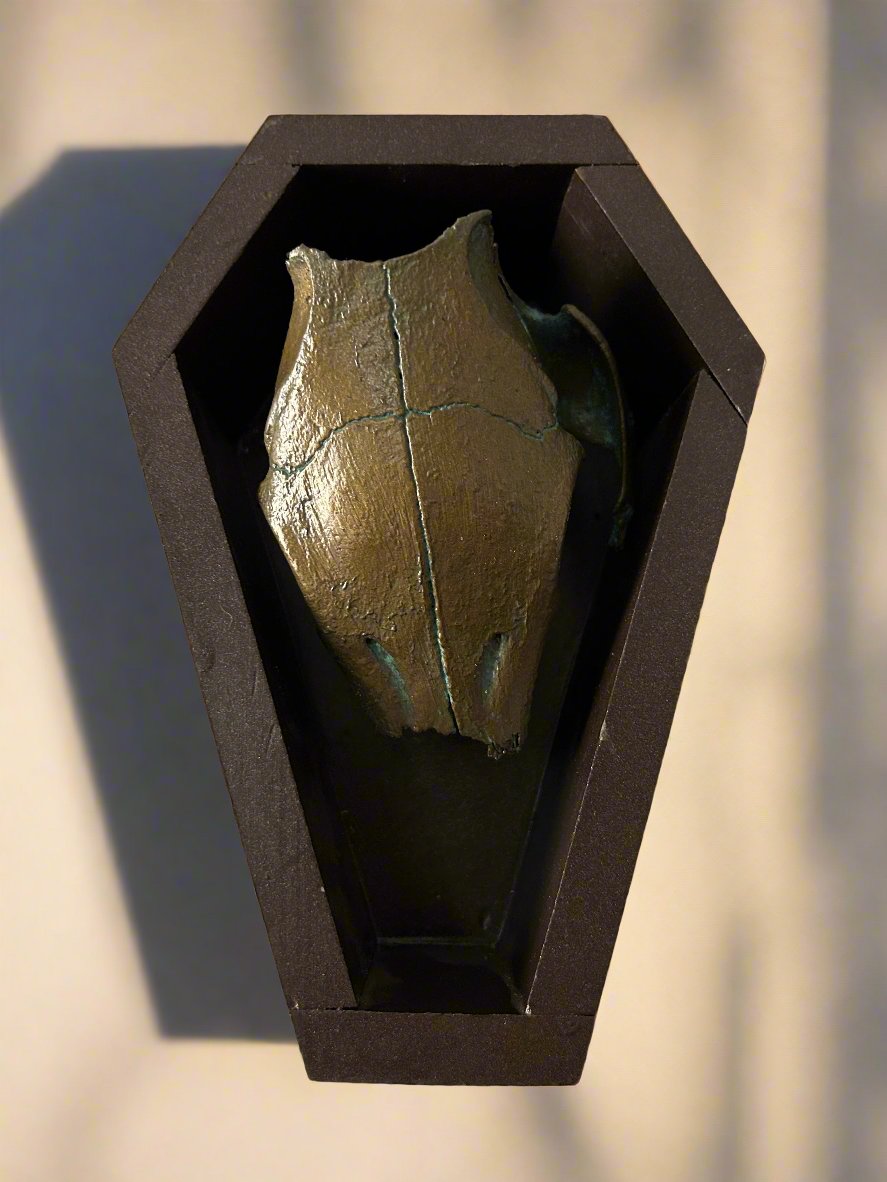 Coffin & Brass Coated Skull