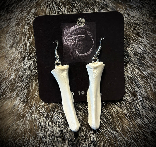 Possum Pelvic Bone Earrings