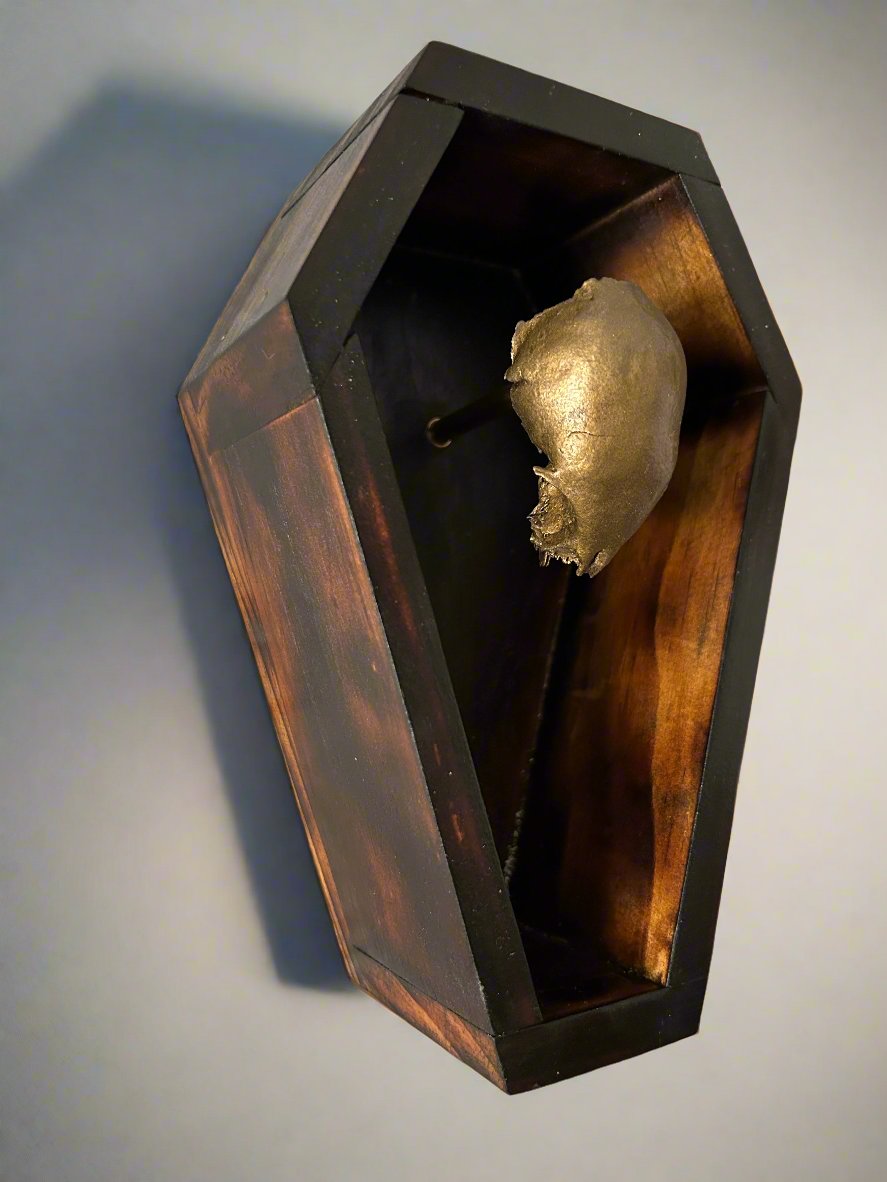 Coffin and Brass Coated Kitten Skull