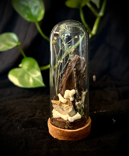 Raccoon Mini Cloche