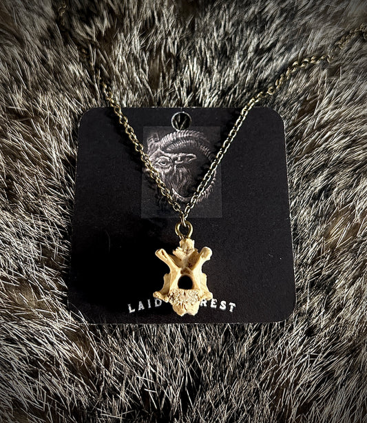 Opossum Vertebrae Necklace