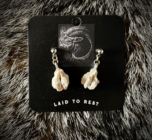 Porcupine Vertebrae earrings