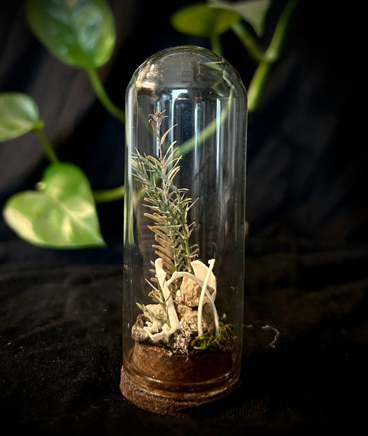 Squirrel Mini Cloche