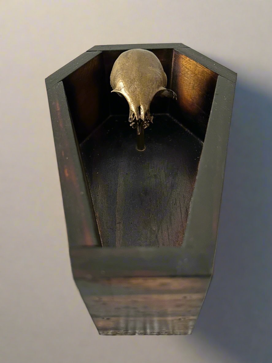 Coffin and Brass Coated Kitten Skull