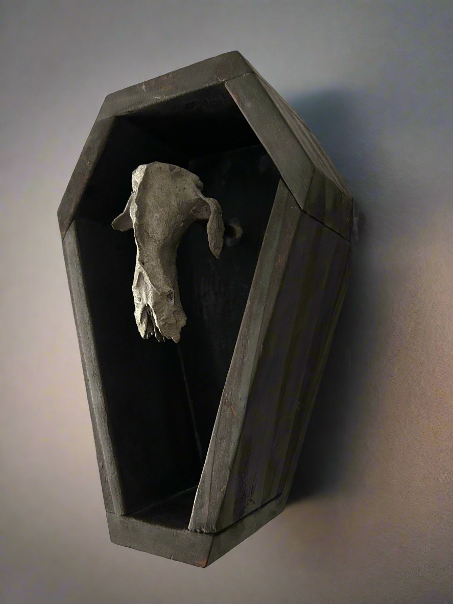 Coffin & Silver Coated Opossum Skull