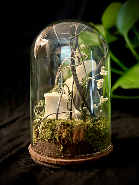 Deer Vertebrae Cloche