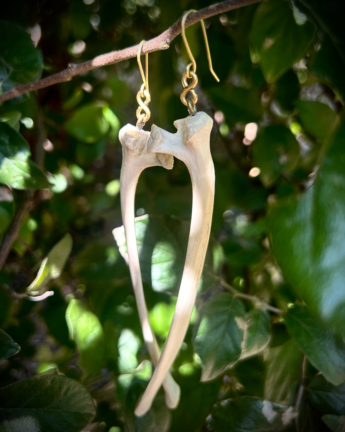 Deer Ribs earrings
