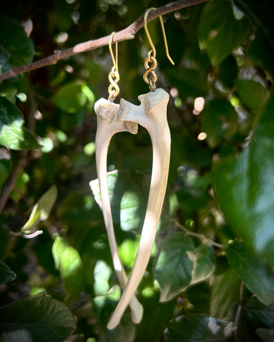 Deer Ribs earrings