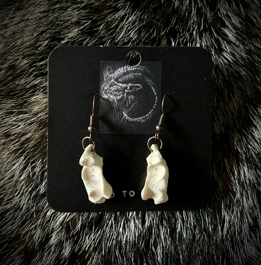 Armadillo Calcaneus earrings
