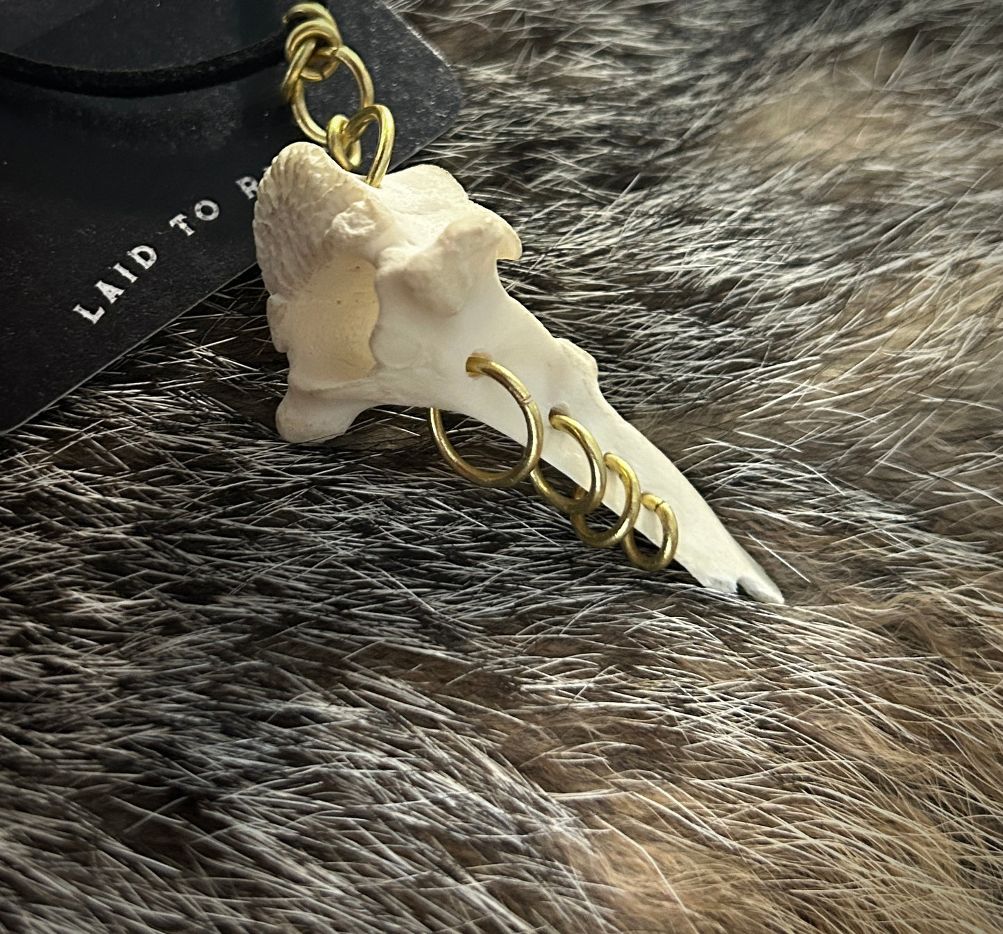 Fawn Vertebrae necklace