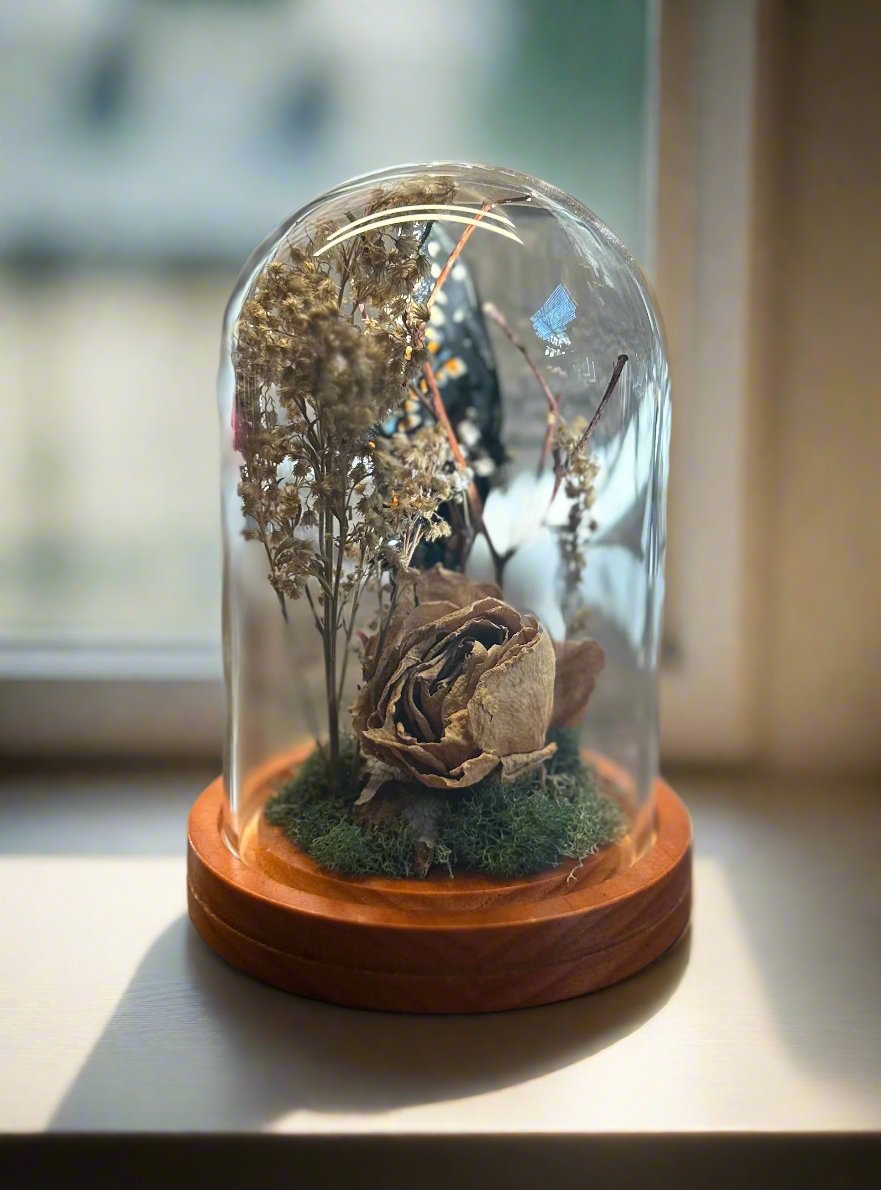 Butterfly and Rose Curio Dome