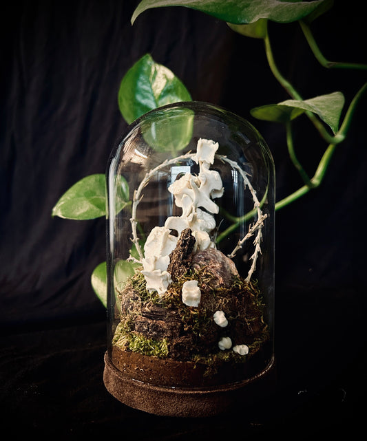 Porcupine Spine Cloche