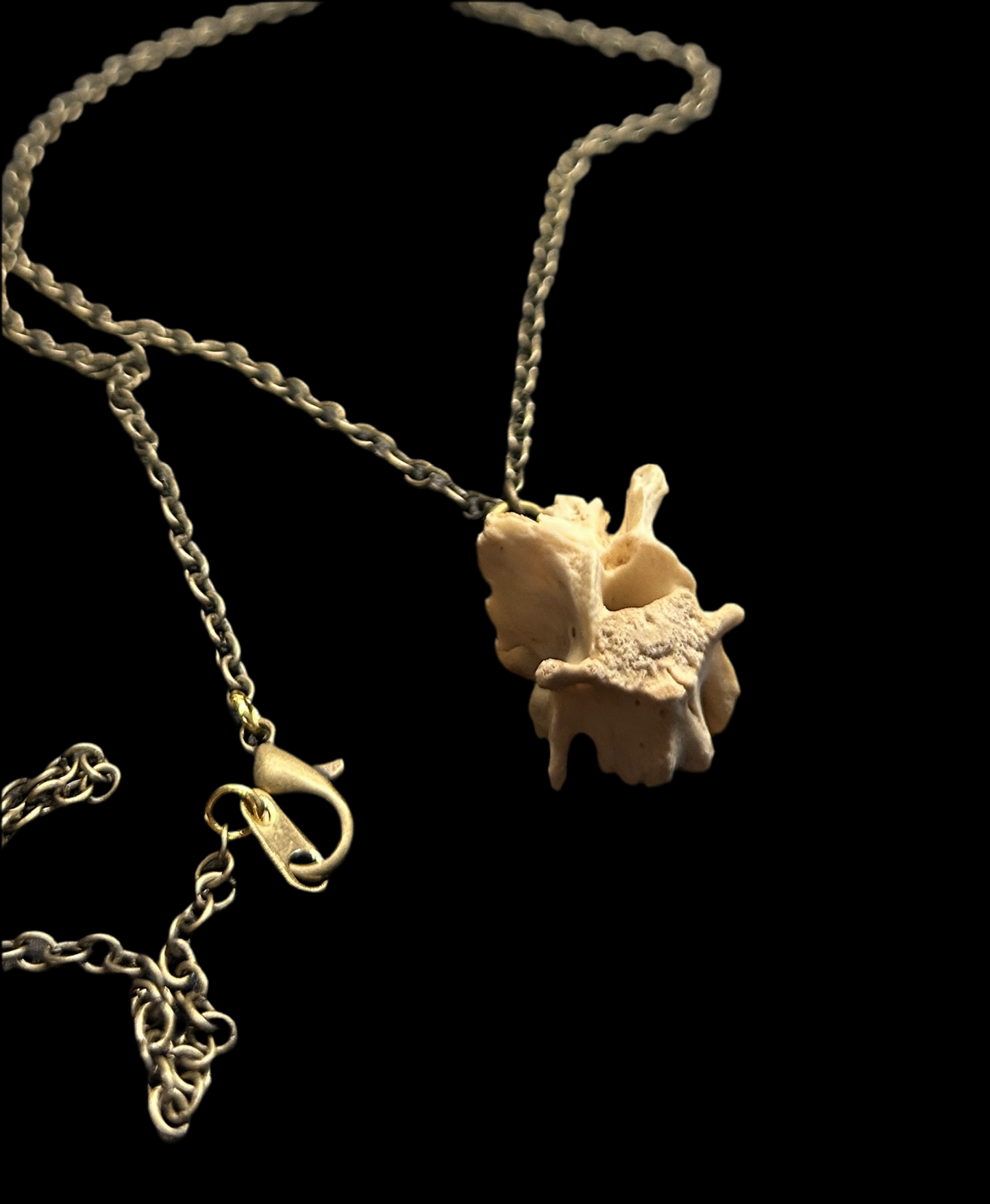 Opossum Vertebrae Necklace