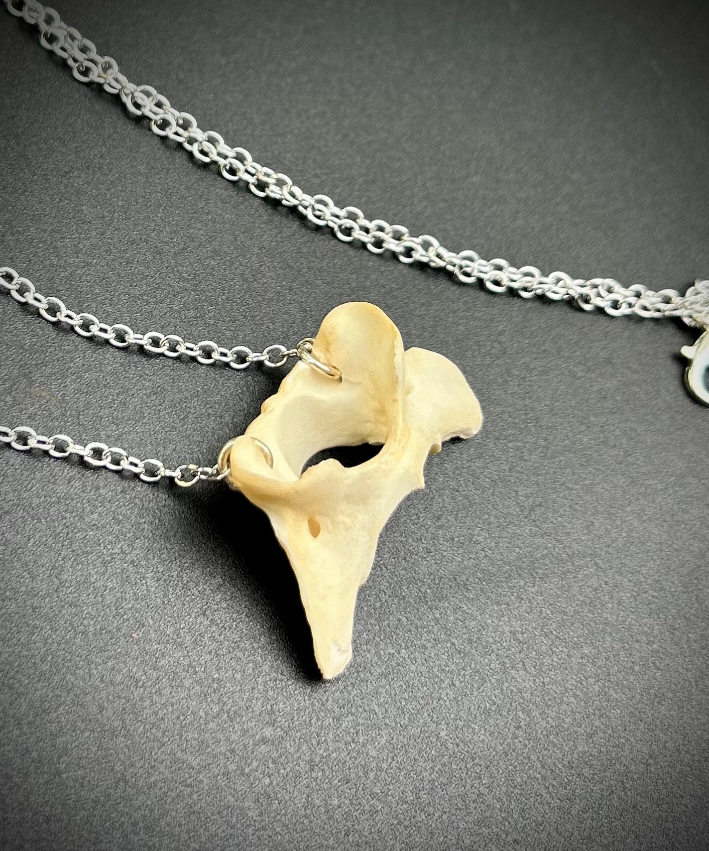 Fox Bone Pendant