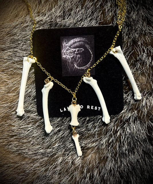 Raccoon Phalanges & Tailbones
