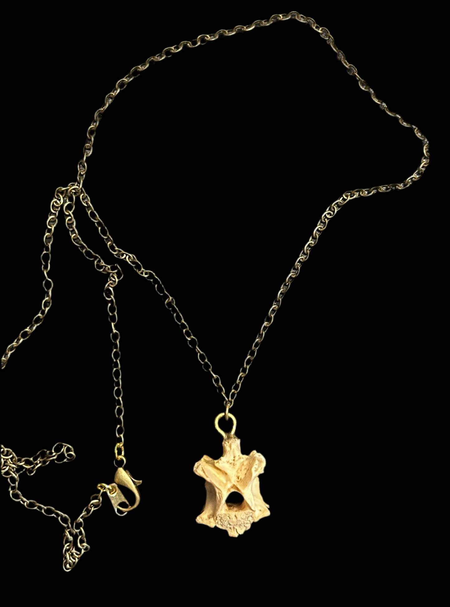 Opossum Vertebrae Necklace