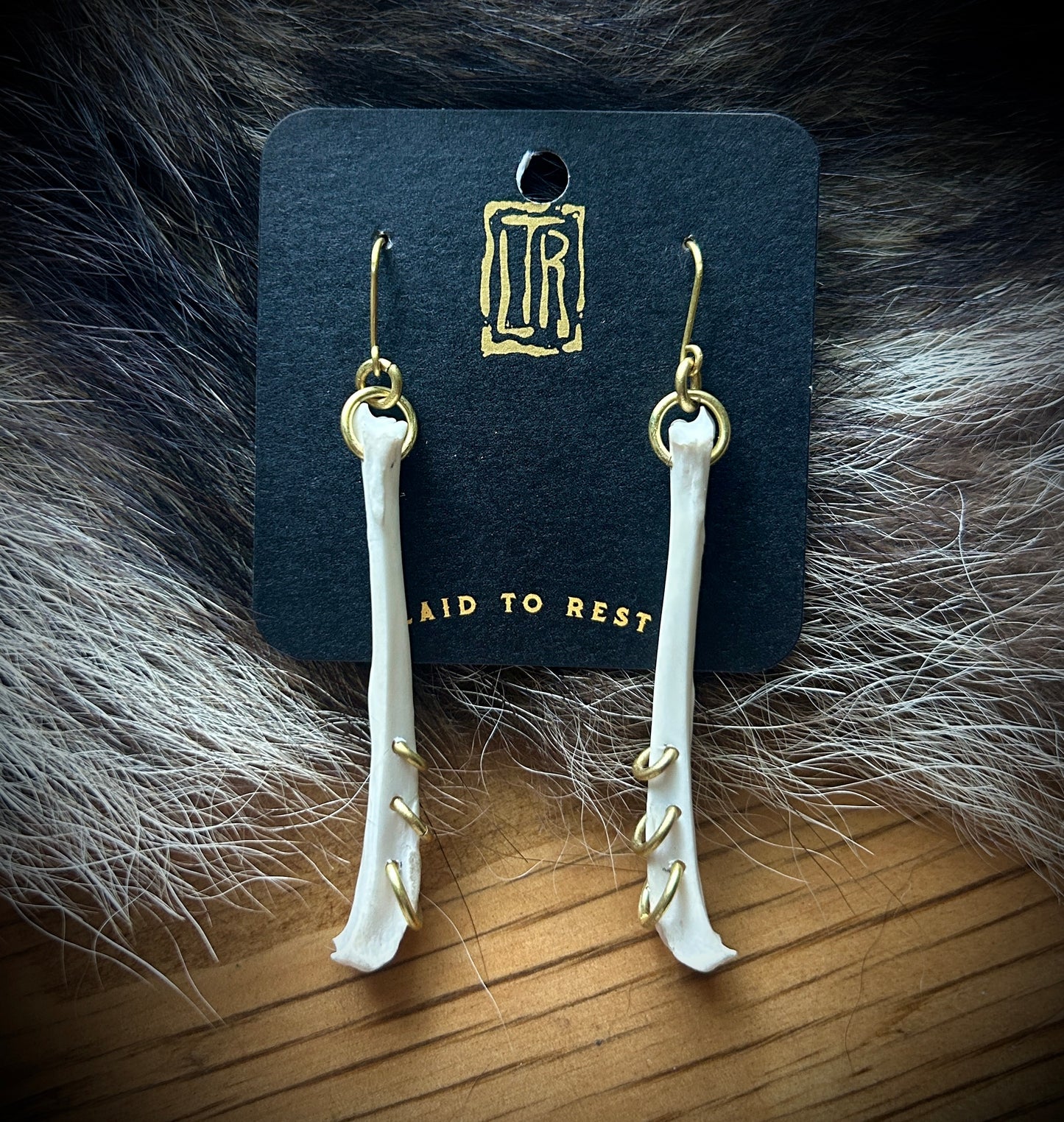 Pierced squirrel tibia earrings