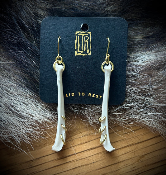 Pierced squirrel tibia earrings