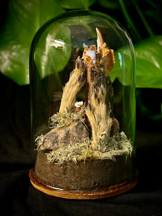 Squirrel Feet & Teeth Cloche