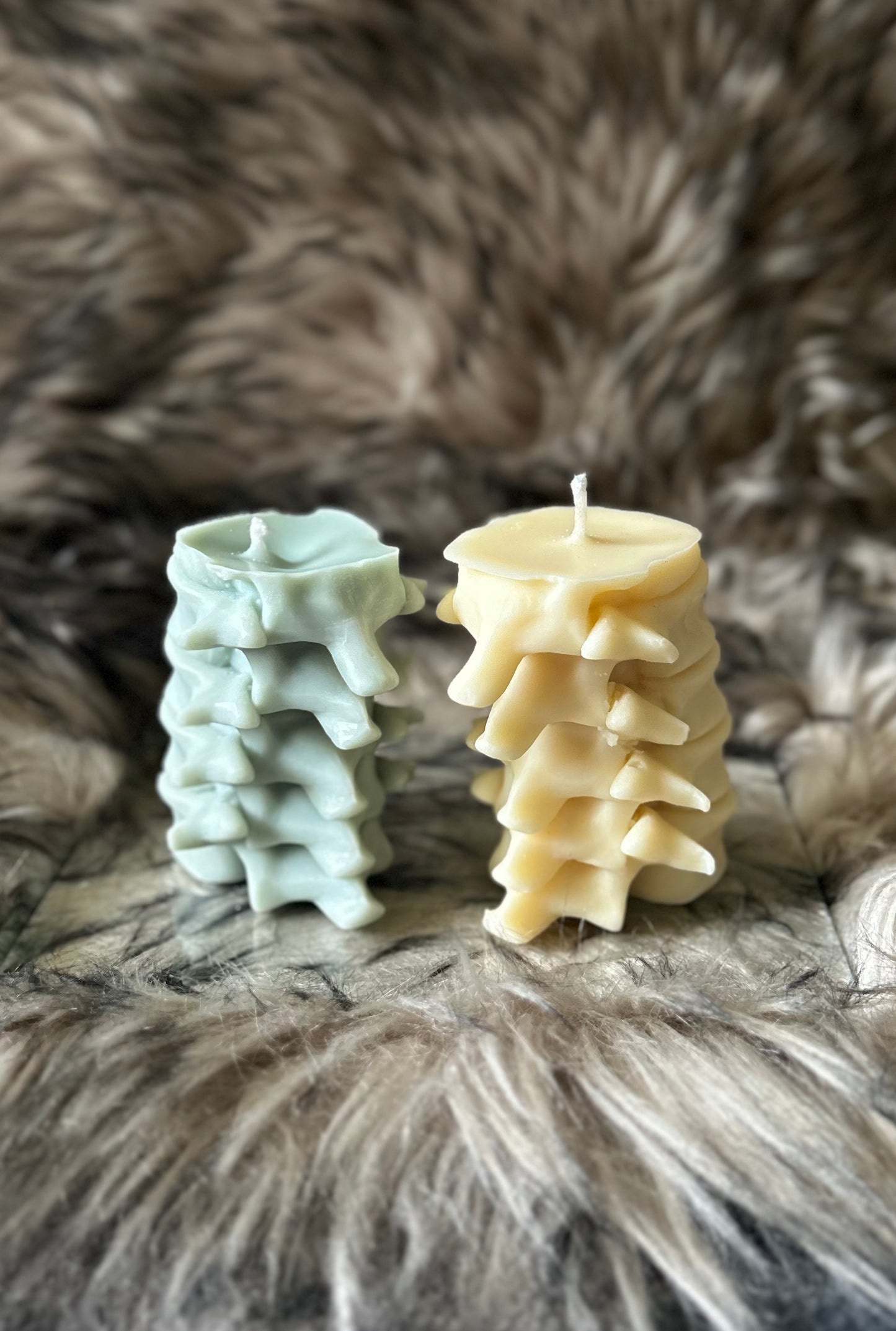 Spine Candles