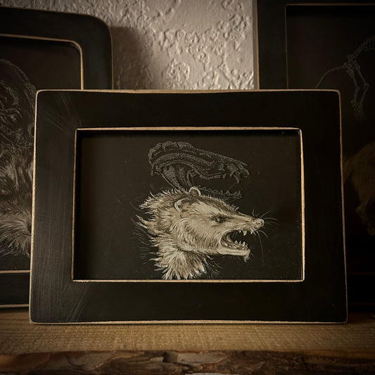 Animals - Framed Etchings