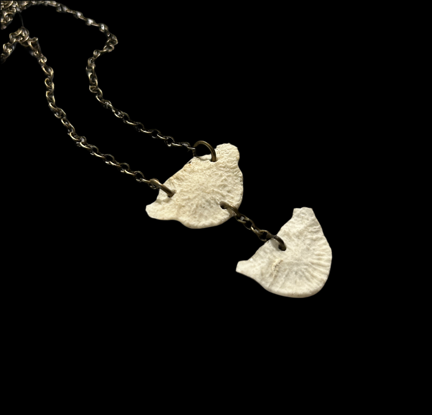 Raccoon Patella necklace