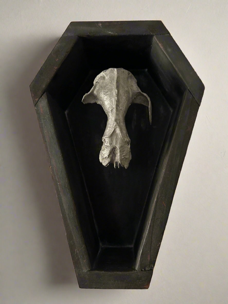 Coffin & Silver Coated Opossum Skull