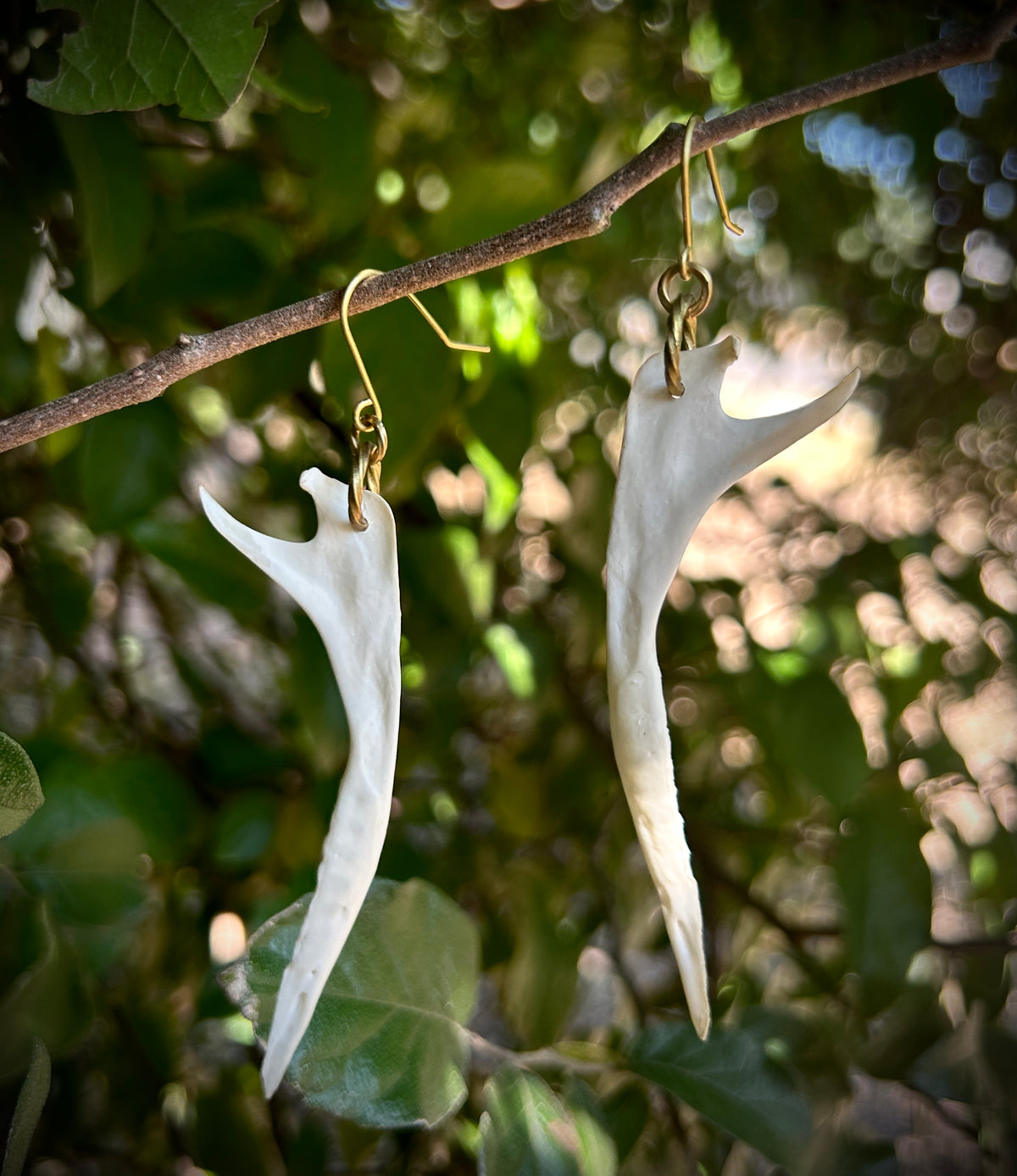 Armadillo Jawbone earrings