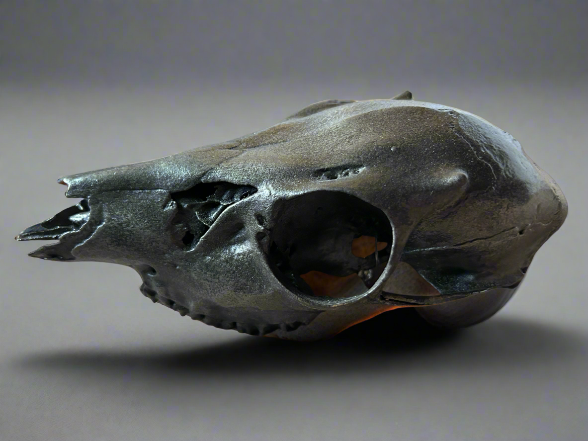 Silver Metal Coated Deer Skull