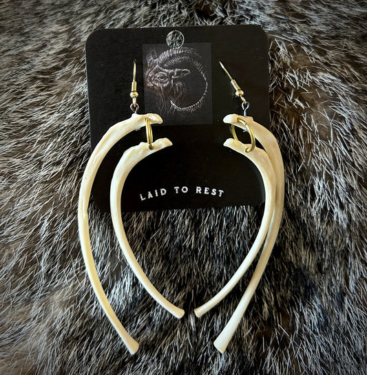 Raccoon Ribs Earrings