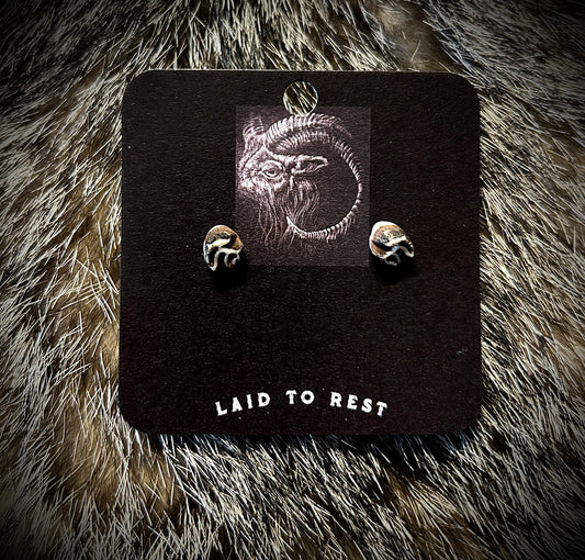 Possum Teeth Stud Earrings