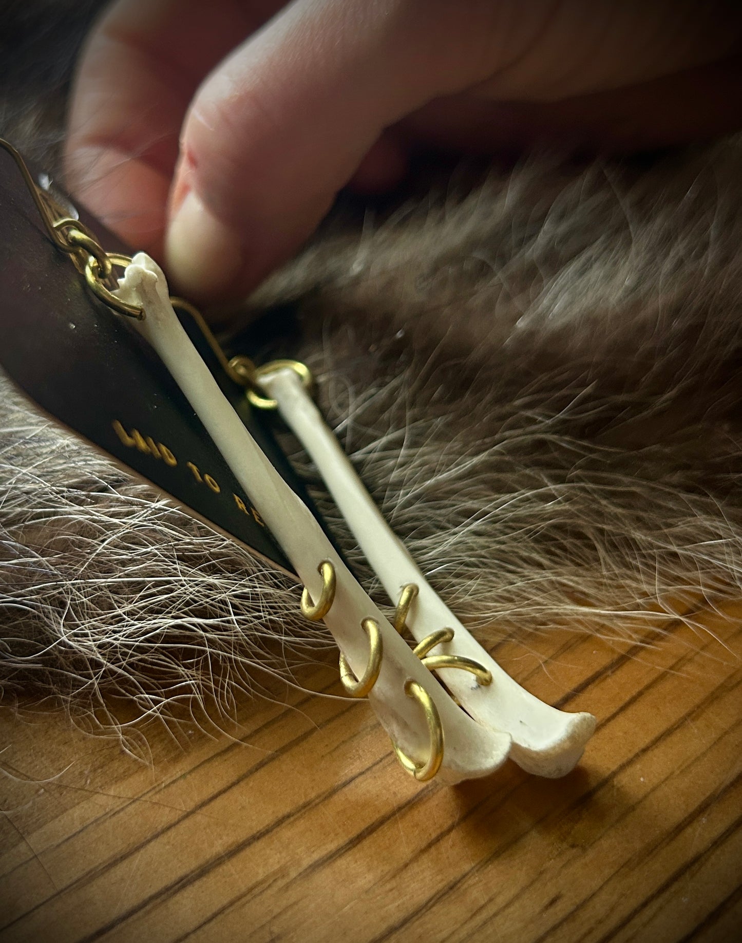 Pierced squirrel tibia earrings