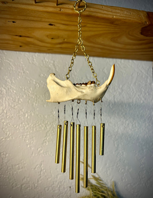 Porcupine Jaw Chime