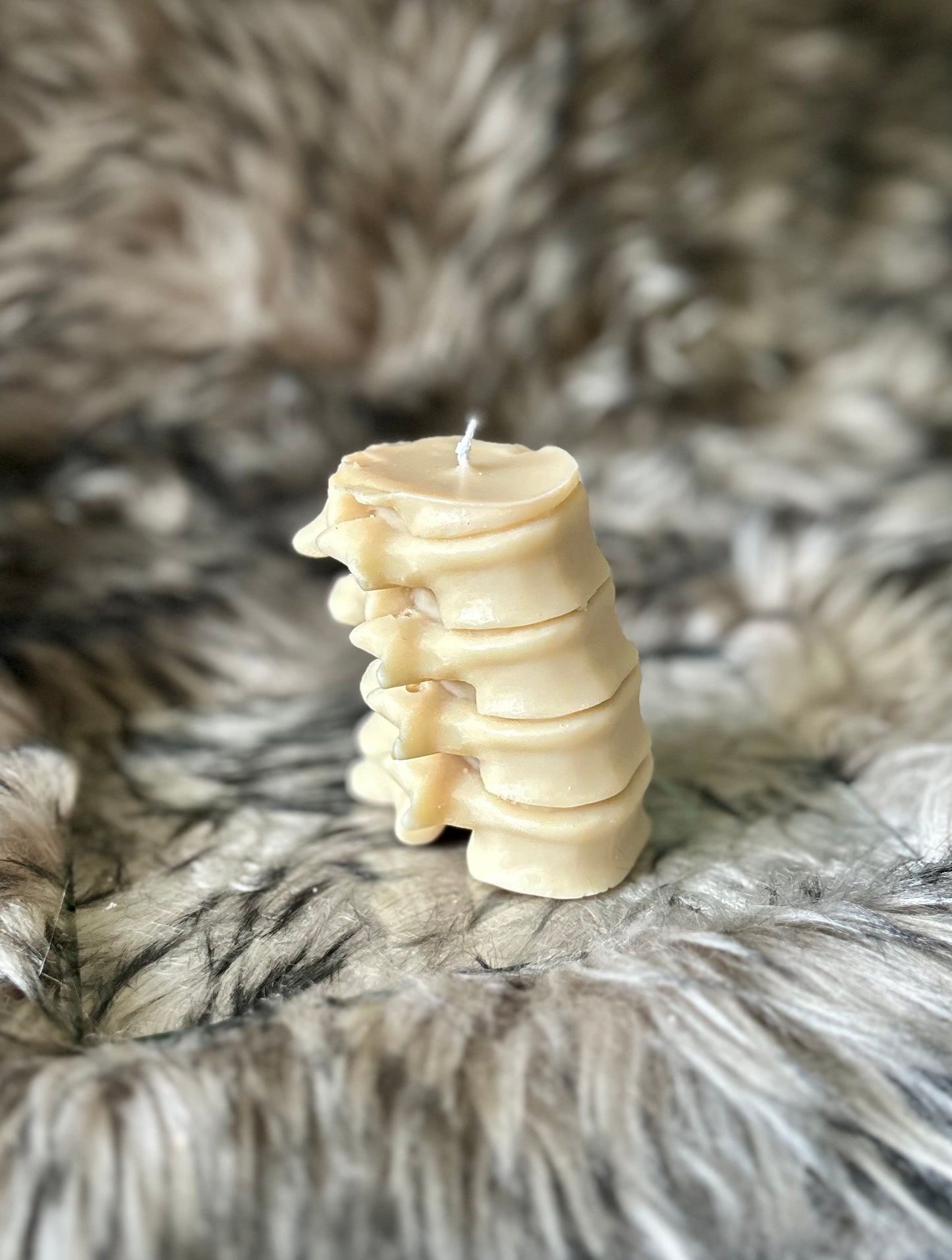 Spine Candles
