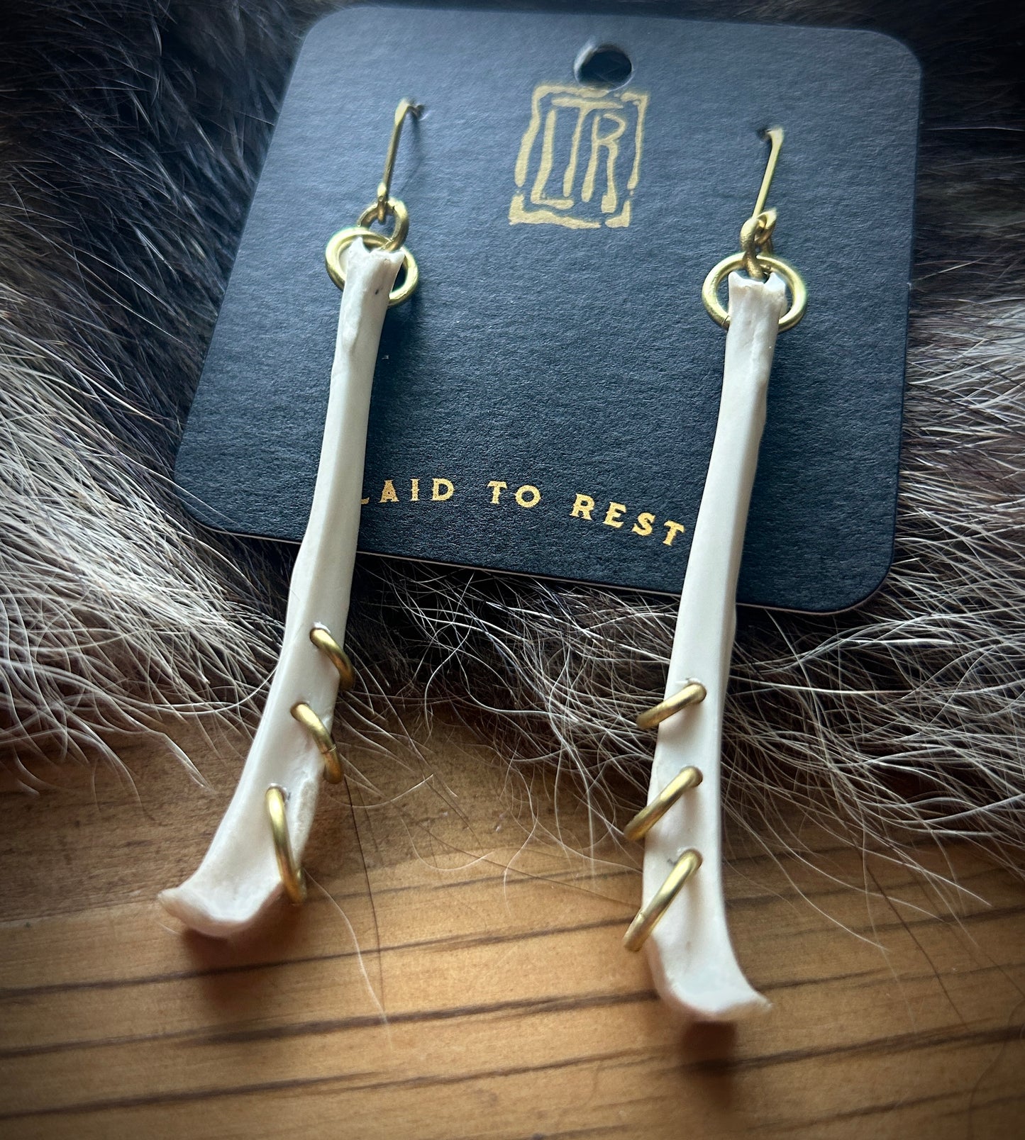 Pierced squirrel tibia earrings