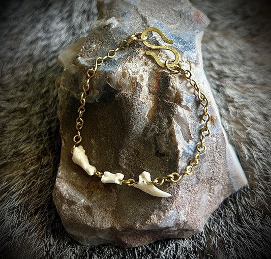 Brass and Porcupine Claw Bracelet