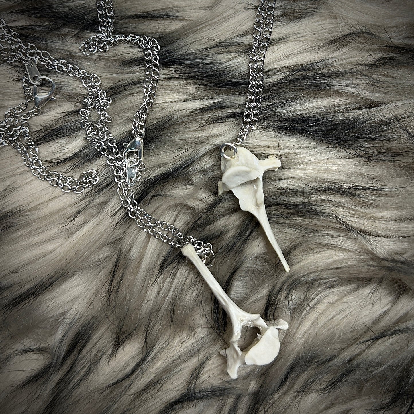 Fox Vertebrae Necklace