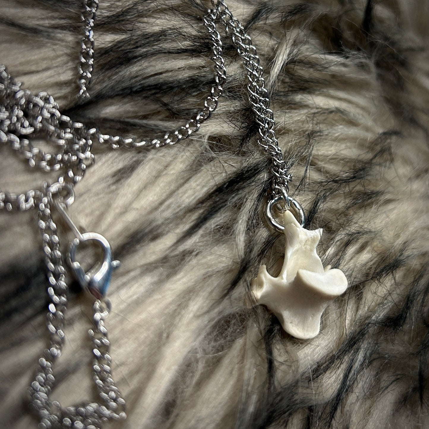 Fox Bone Necklace