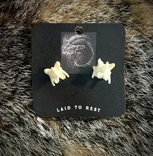 Skunk Vertebrae studs