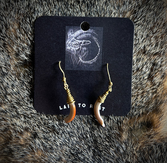 Squirrel Incisor Earrings