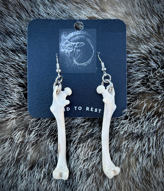 Squirrel Femur Earrings