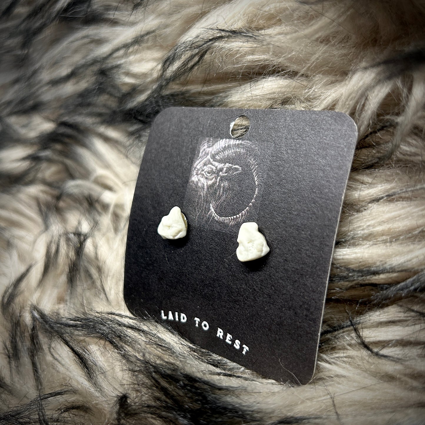 Fox Bone Studs