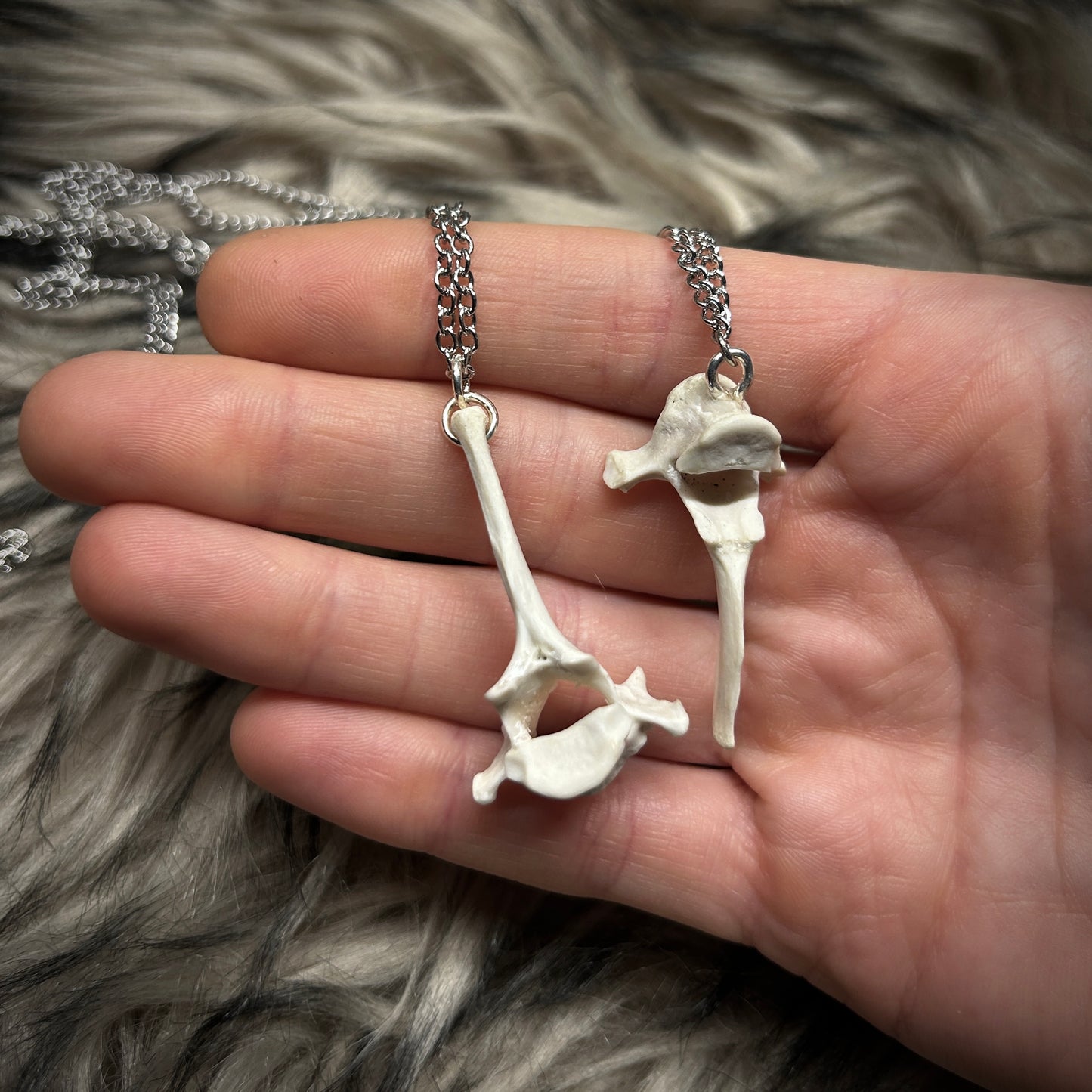 Fox Vertebrae Necklace