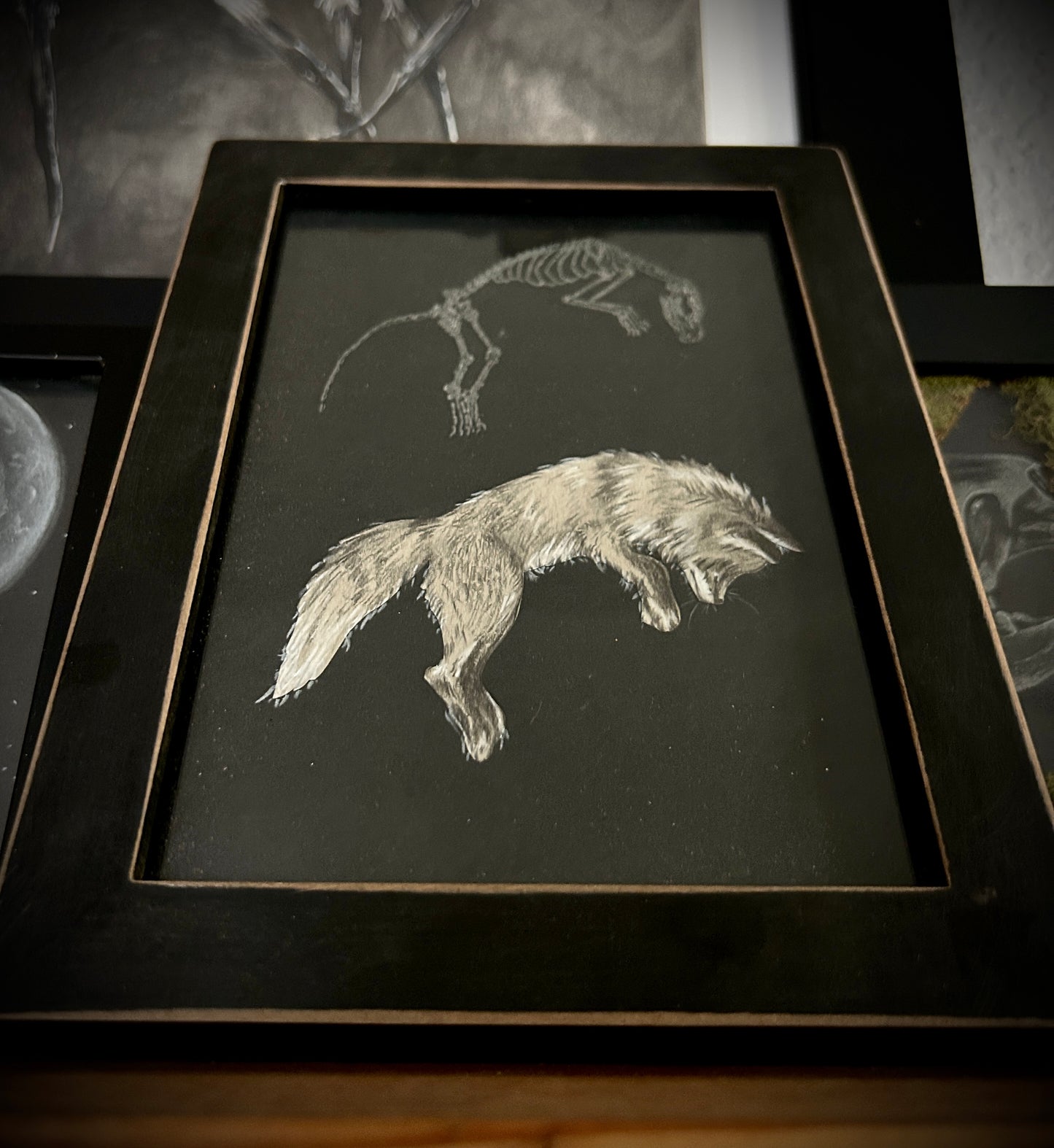 Animals - Framed Etchings