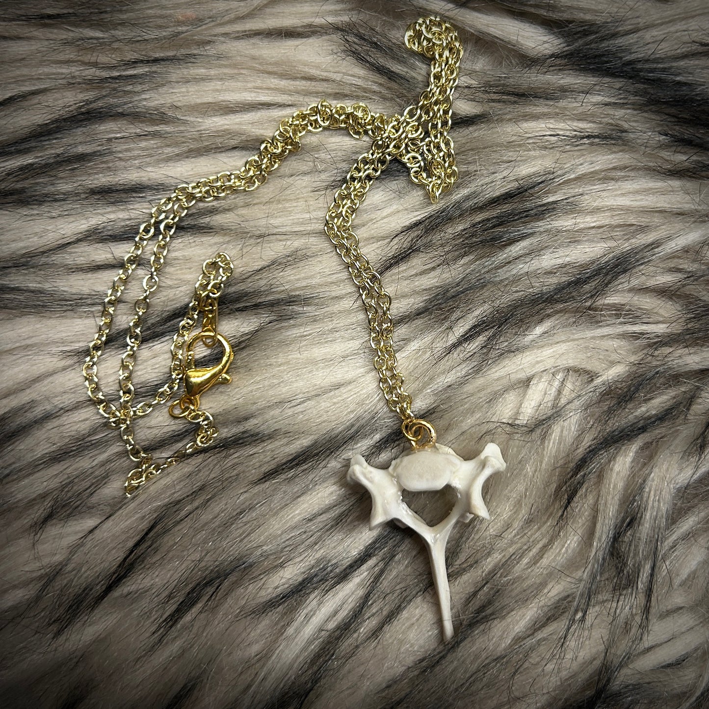 Fox Vertebrae Necklace