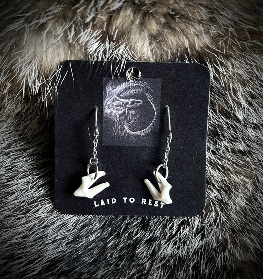 Coyote Molar Earrings