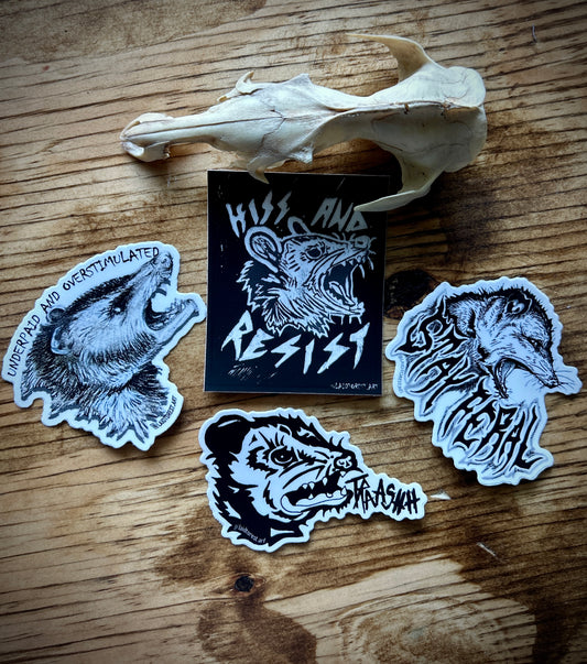 Possum Sticker Pack - 4 Vinyl Stickers