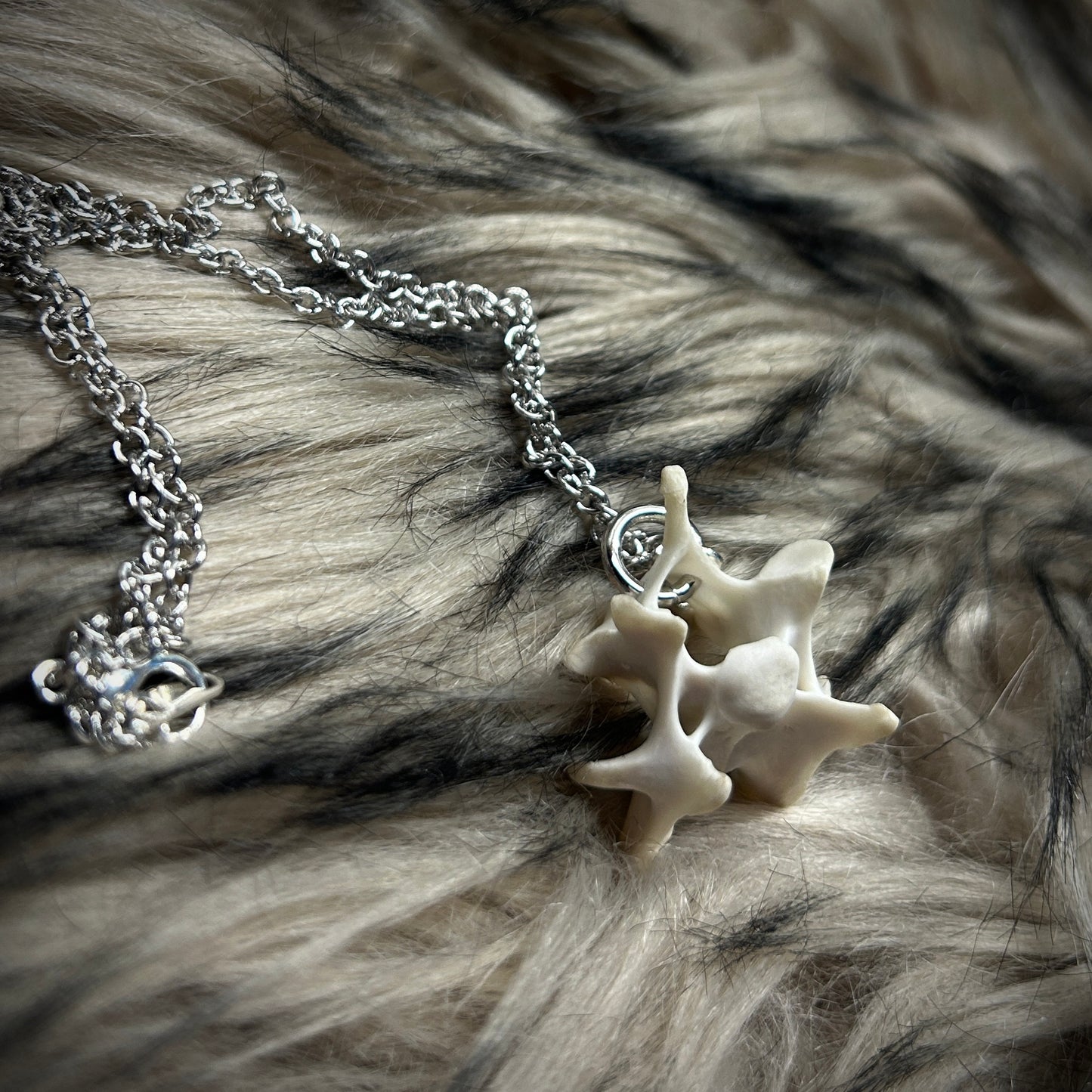 Fox Bone Necklace