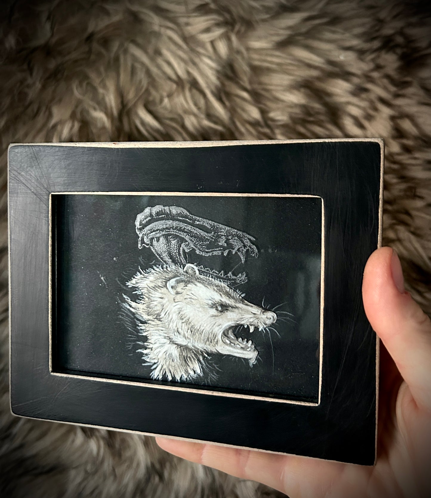 Animals - Framed Etchings