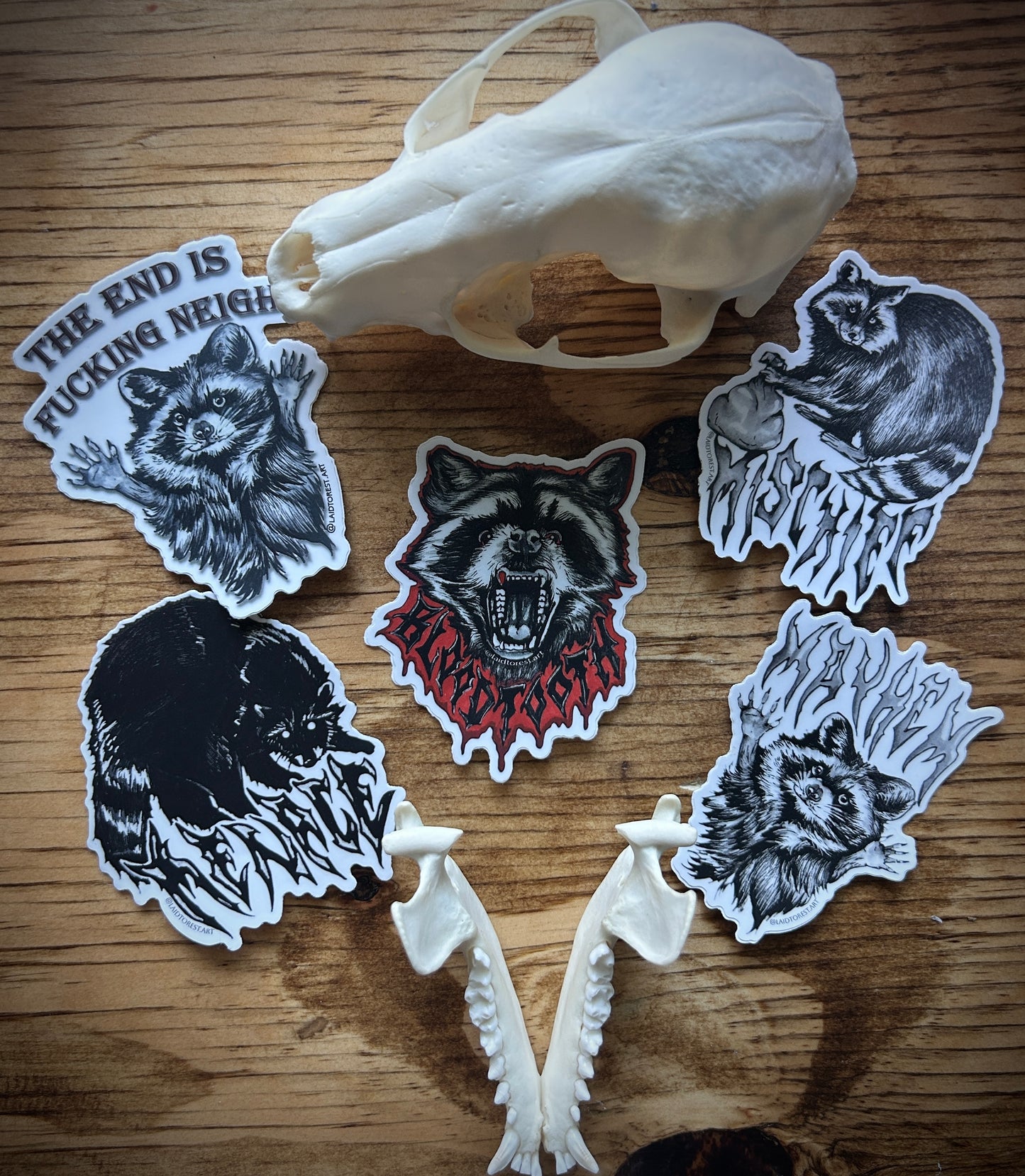 Raccoon Sticker Pack - 5 Vinyl Stickers